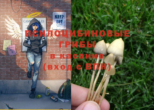 синтетический гашиш Протвино