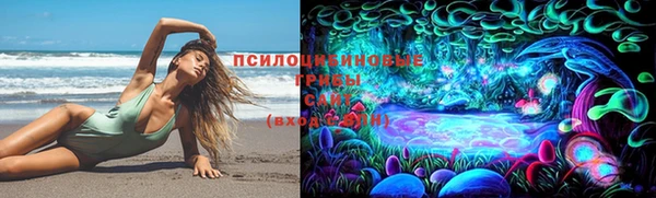 наркотики Приозерск