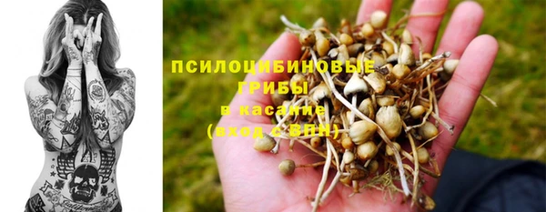 наркотики Приозерск